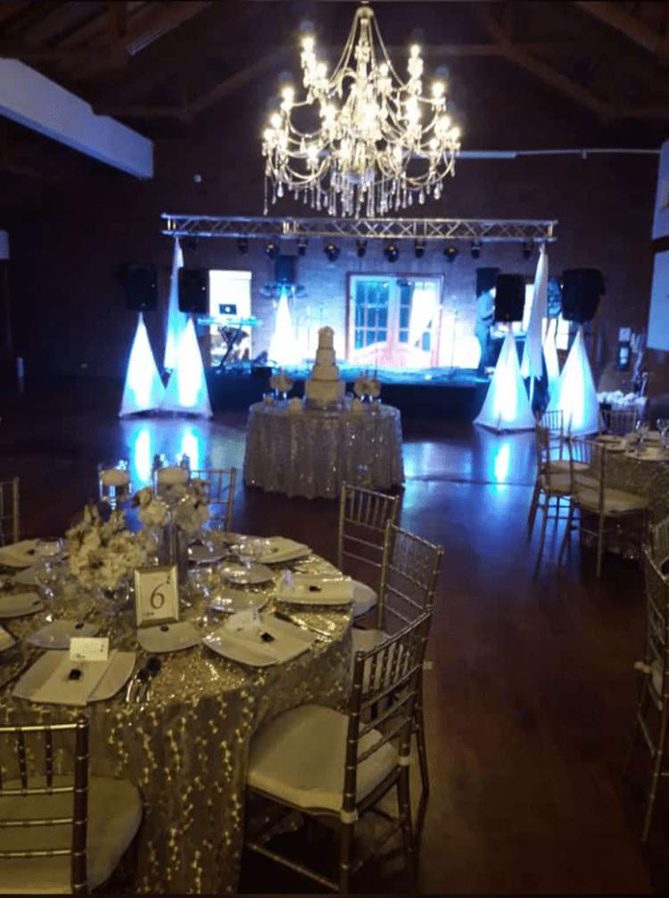Miniteca, servicio de dj, luces y sonido, animación de adultos